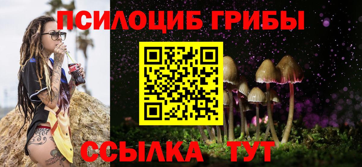 Псилоцибиновые грибы Psilocybine cubensis  Вход с VPN  Великий Новгород 