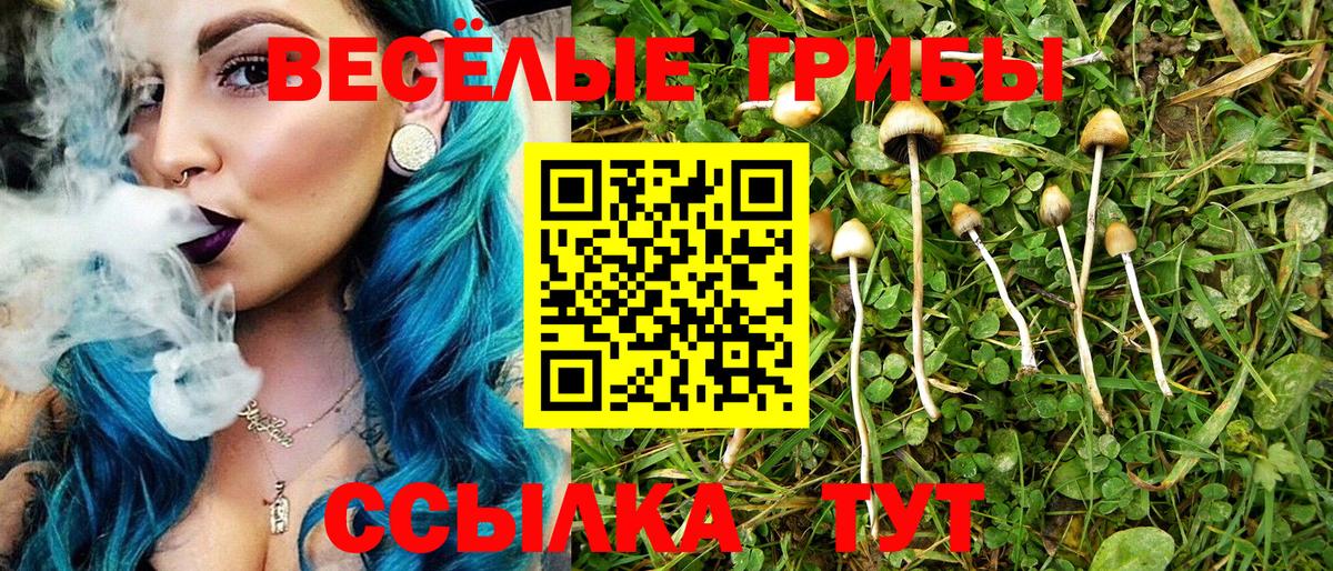 Псилоцибиновые грибы прущие грибы Великий Новгород
