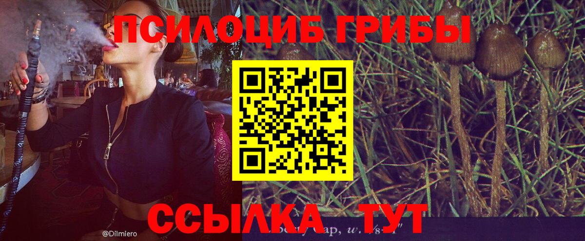 МАРИХУАНА Великий Новгород